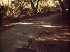 I Know What You Did In The Woods