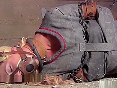 Cherie DeVille Struggles in a Straitjacket