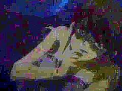 Slow Alluring Promise_090125p0003
