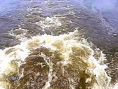 Dvd Love Boat With Wendy Somers
