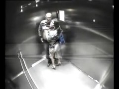 Catfight-Club sex in elevator