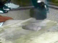 stomp comp