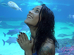 Holly Hendrix in Virtual Vacation Movie - AtkGirlfriends