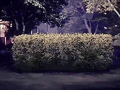 Moment of the Figure_24012604p0