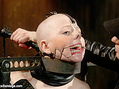 Alani Pi & Coral Aorta in Alani Pi - Head Shaved Slut Live Show - Part 1 - DeviceBondage