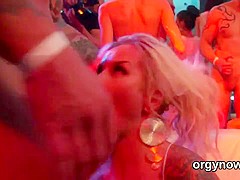 Pretty peaches give a blowjob and enjoy penetrating and fuck orgy