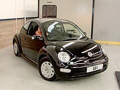 Three Lesbian bunnies and one small black beetle!