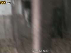 Cowgirl Mila strikes lad's cock with her pierced tongue