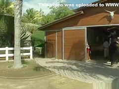 Anal porn video featuring Asphyxia Noir, Chanel Preston and Lorelei Lee
