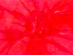 Endless Passion beyond control_170224p0010