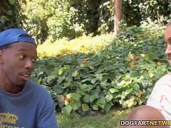 Busty Ebony Maserati XXX Gets Gangbanged