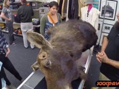 Two bisexual babes get fucked in a pawnshop for money
