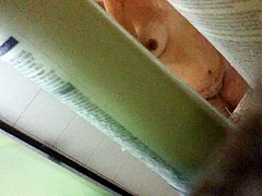 vecina espiada en la ducha