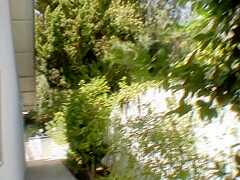 Lisa Ann and Shorty make a perfect interracial duo