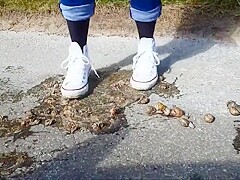 Converse Stomp Snails