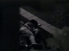Asian couples caught having sex in public