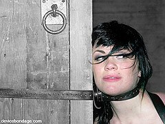Devaun Andy San Dimas in Devaun and Andy San Dimas Live, 1 - DeviceBondage