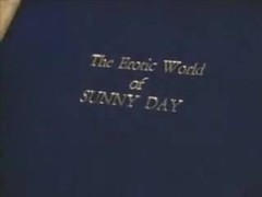Erotic World Of Sunny Day - 1984