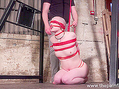 Bald Eryn Rose suspension bondage whipping