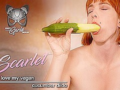 I Love My Vegan Cucumber Dildo - Food Fetish Solo
