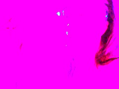 Pretty Marie In Cosmic Blowjob From In The Bath For Sleigh To The Music Of Gorillaz Throat Sucking N