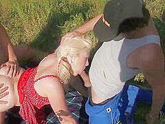 Swedish Summer Party