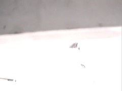 Piss pouring out of hot pussy on toilet voyeur scenes