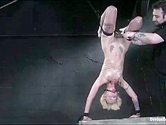 Miss Kitty - Kink
