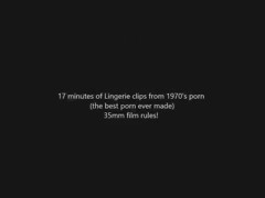 Vintage lingerie clips 1970's