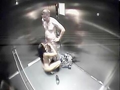Elevator fun gets caught