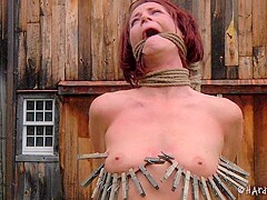 HardTied (Cici Rhodes & Rain DeGrey) 01