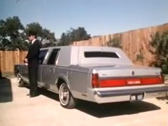 Cougars Locked In The Limo