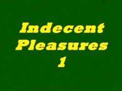 Vintage Indecent 1  N15