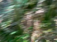 forest pleasure
