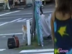 Colorful amorous Asian hoe getting masterly tricked by some sharking chap