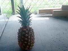 Pineapple stomp wedges