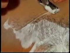 Pussy shaving, 2003