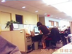 Office Business Analyst Milf Upskirt