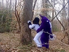 Furry Yiff (Fursuit)