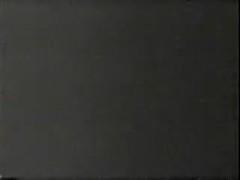 MF 1656 - Satisfaction