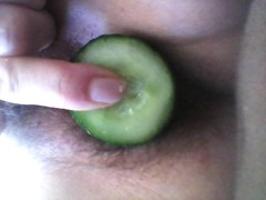 hairy pussy cucumber