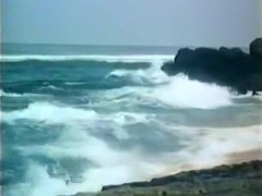 Ginger Lynn Surrender In Paradise Full Porn Movie