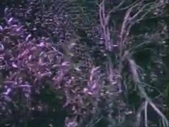 Vintage Outdoor Hard Core Fucking
