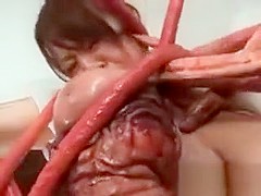 Naked asian sex slave wrapped in big tentacles