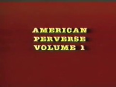 American Perverse Volume 1