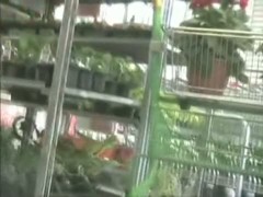 garden centre voyeur upskirt vagina in  its full glory on view